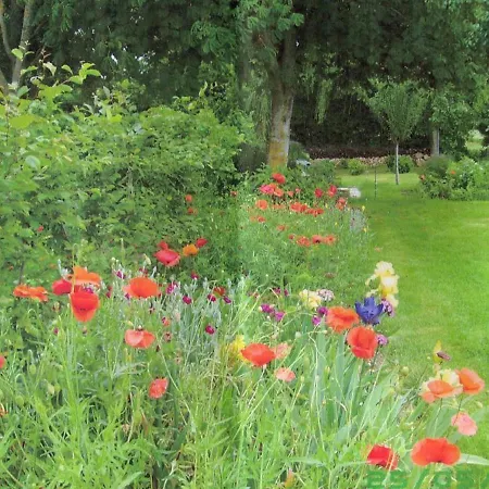 Familial Avec Grand Jardin Fleuri, Cheminee Et Activites Exterieures, Proche Petite Cite De Caractere - Fr-1-497-38 *