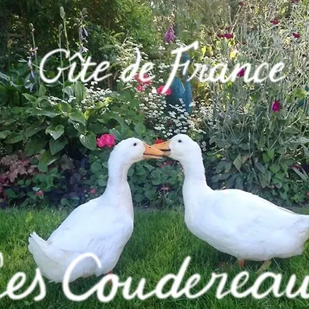 Normand Ideal Familles Et Amis, Jardin Et Animaux Acceptes - Fr-1-497-38 Saint-Jouin-de-Blavou