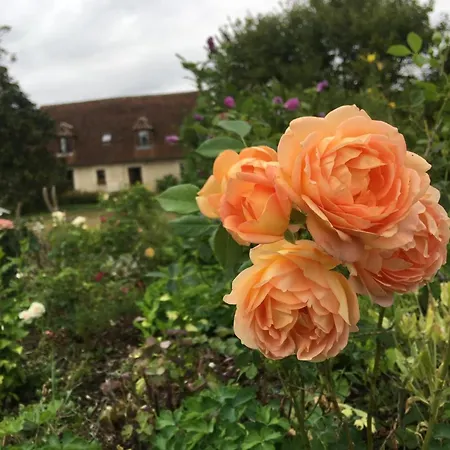 Normand Ideal Familles Et Amis, Jardin Et Animaux Acceptes - Fr-1-497-38