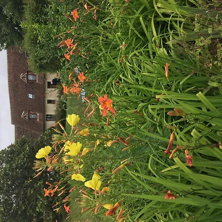 Holiday home Familial Avec Grand Jardin Fleuri, Cheminee Et Activites Exterieures, Proche Petite Cite De Caractere - Fr-1-497-38