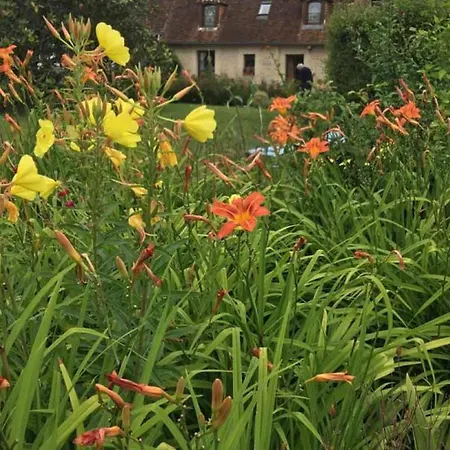 Normand Ideal Familles Et Amis, Jardin Et Animaux Acceptes - Fr-1-497-38