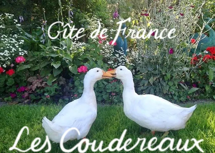 Normand Ideal Familles Et Amis, Jardin Et Animaux Acceptes - Fr-1-497-38 Saint-Jouin-de-Blavou