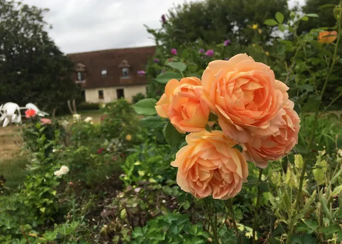 Normand Ideal Familles Et Amis, Jardin Et Animaux Acceptes - Fr-1-497-38