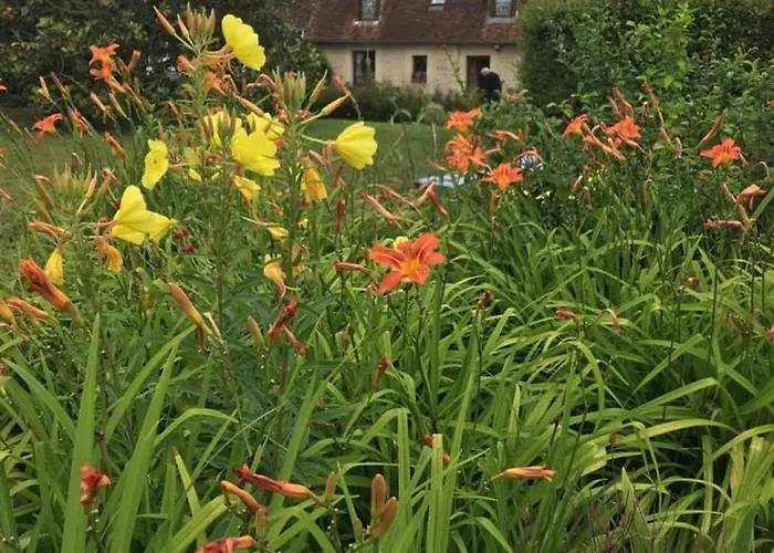 Normand Ideal Familles Et Amis, Jardin Et Animaux Acceptes - Fr-1-497-38